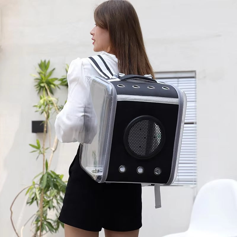 Custom Collapsible Pet Carrier Backpack for Dogs & Cats - Fashion Travel Cage for Kittens