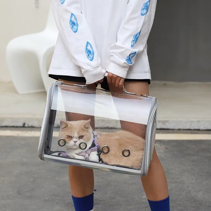 Hot Sale Transparent Pet Tote Carrier Bag for Cats & Puppies