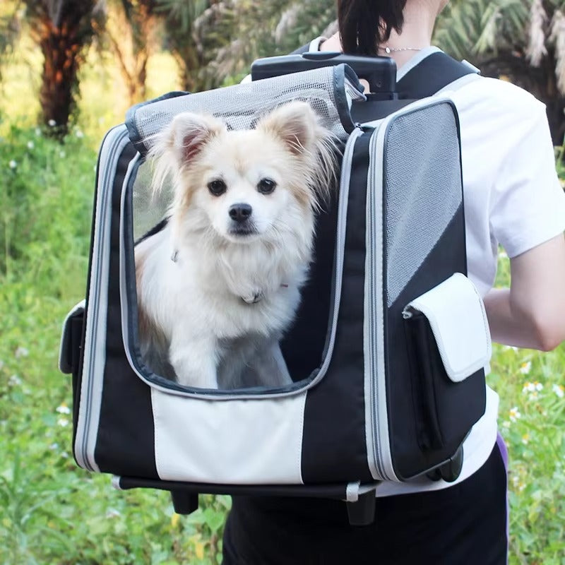 Travel Pet Rolling Trolley Backpack - Waterproof Dog Carrier with Wheels for Cats & Puppies