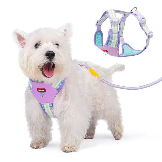 New Rainbow Pet H-Harness Set - Breathable PU Mesh, Adjustable & Easy On-Off Premium Harness
