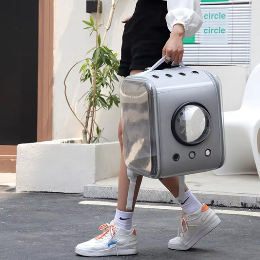 Custom Collapsible Pet Carrier Backpack for Dogs & Cats - Fashion Travel Cage for Kittens
