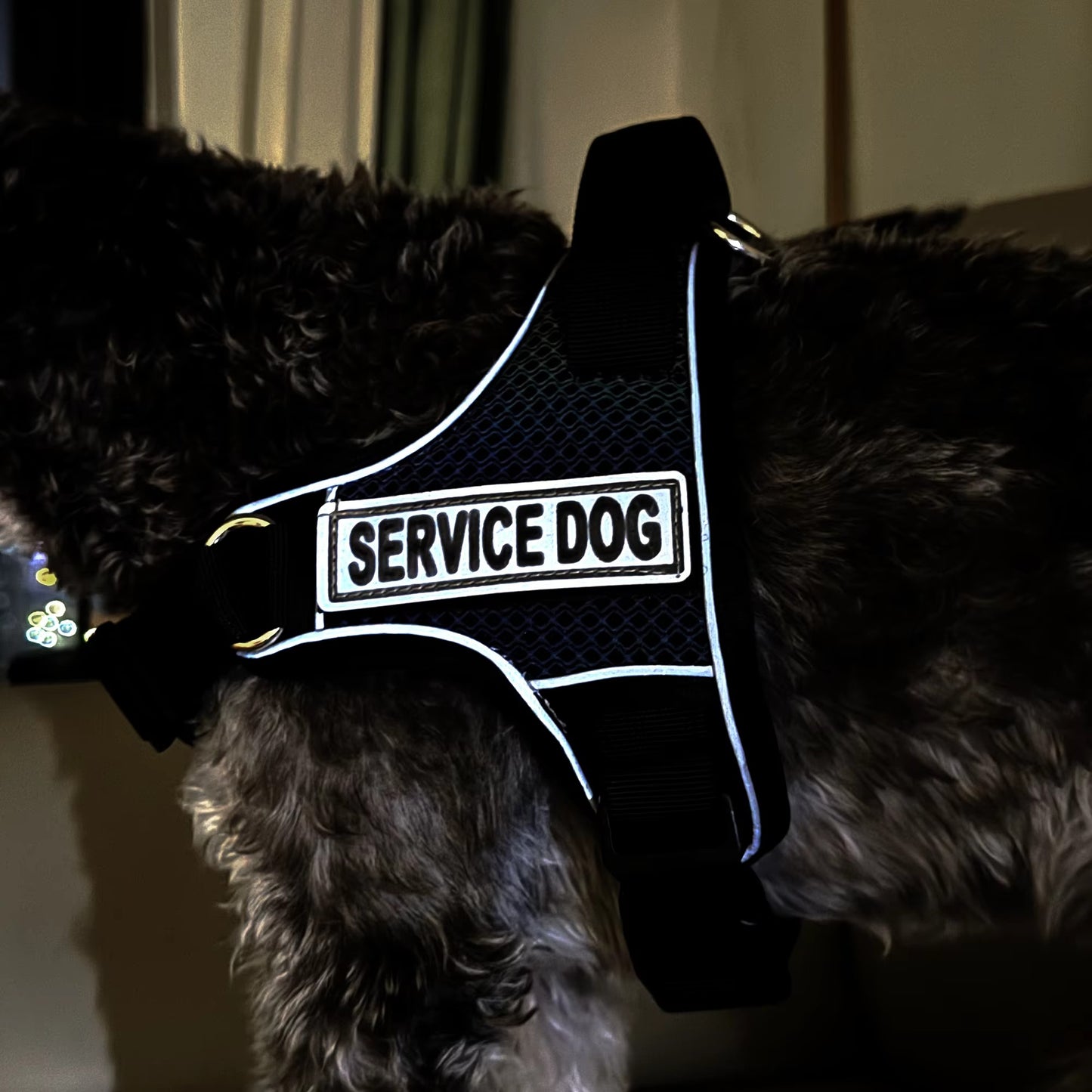 No-Pull Dog Harness with Reflective Safety Design - Breathable Adjustable Pet Vest for Outdoor Walking