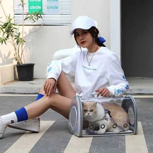 Hot Sale Transparent Pet Tote Carrier Bag for Cats & Puppies